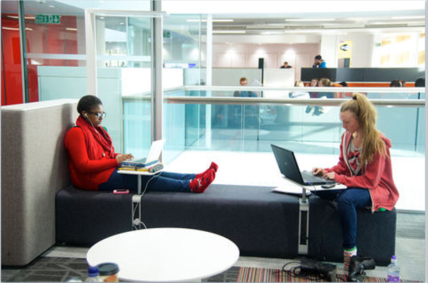 Image of two people studying on laptops.