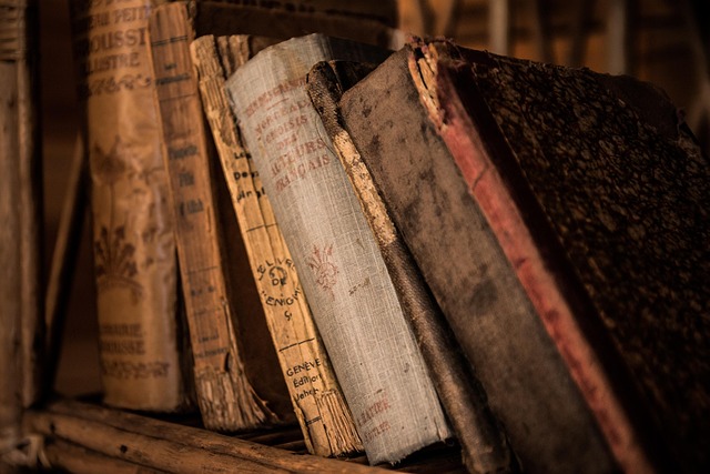 Decorative image of Vintage books on a worn wooden shelf.